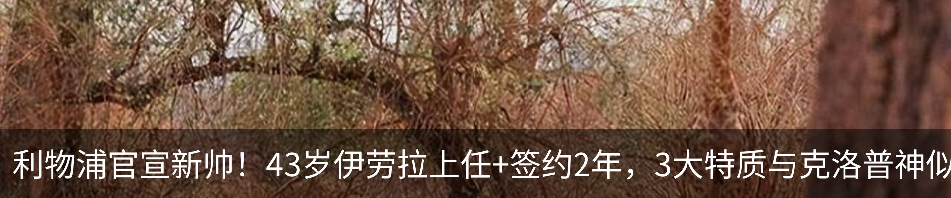 新闻中心