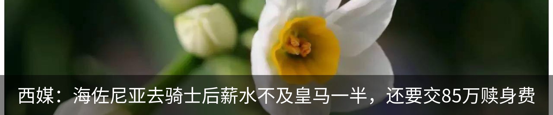 新闻中心
