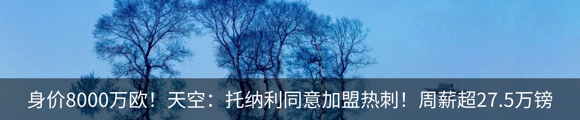 新闻中心